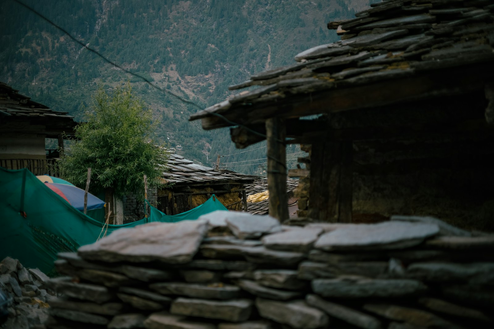 A stone building with a tree and mountains behind it in Old Manali, Himachal Pradesh.