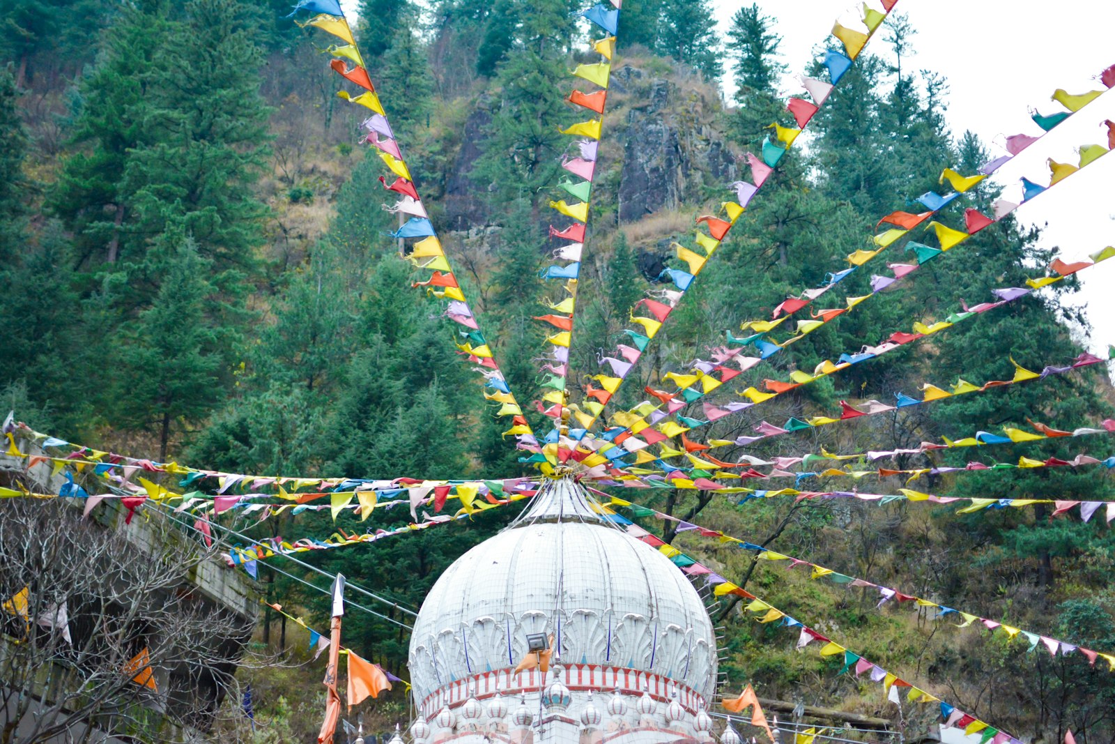 A building hung with colourful flags in Himachal Pradesh.