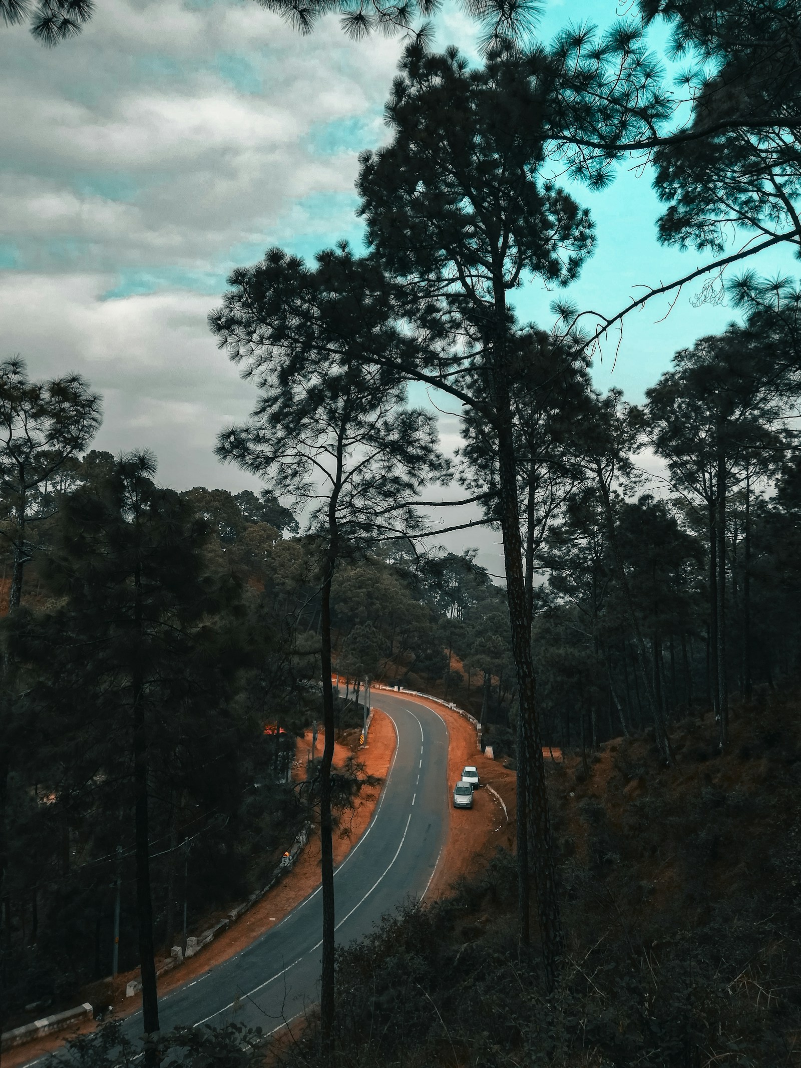Two vehicles beside a winding, tree-lined road in Solan, Himachal Pradesh.