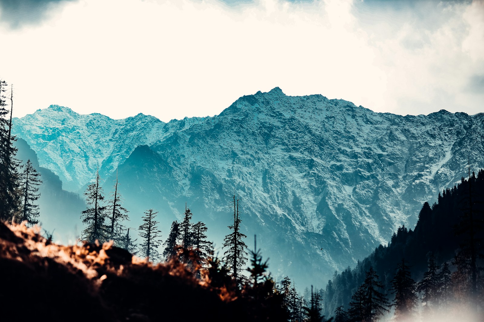 Layered mountain ridges beneath a blue sky, with dark conifers in the foreground.