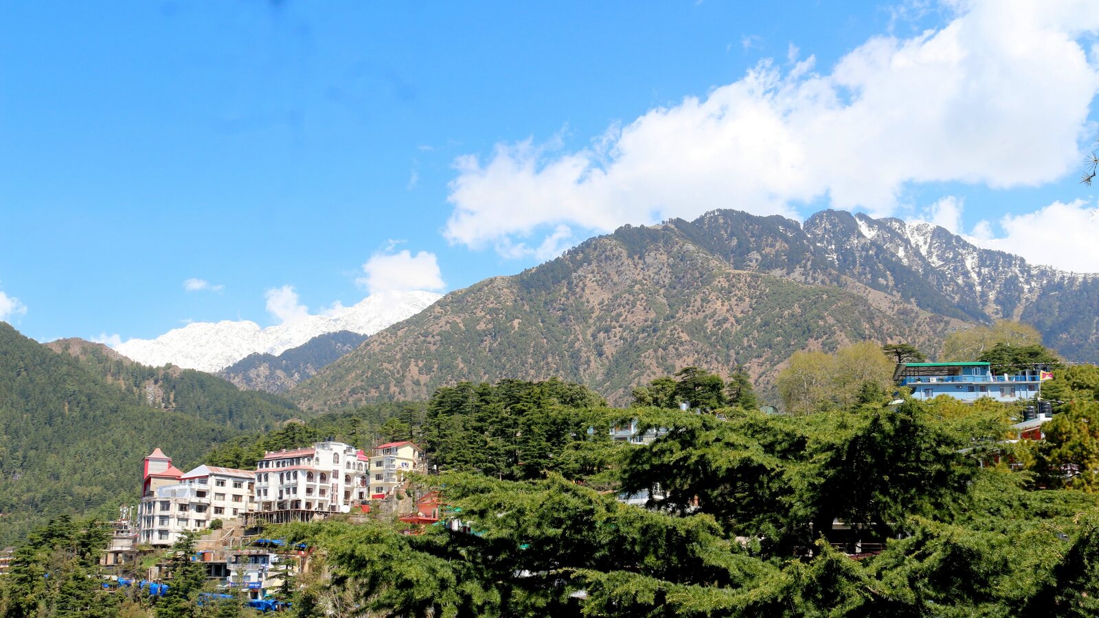 The Dhauladhar mountain range above Dharamshala.