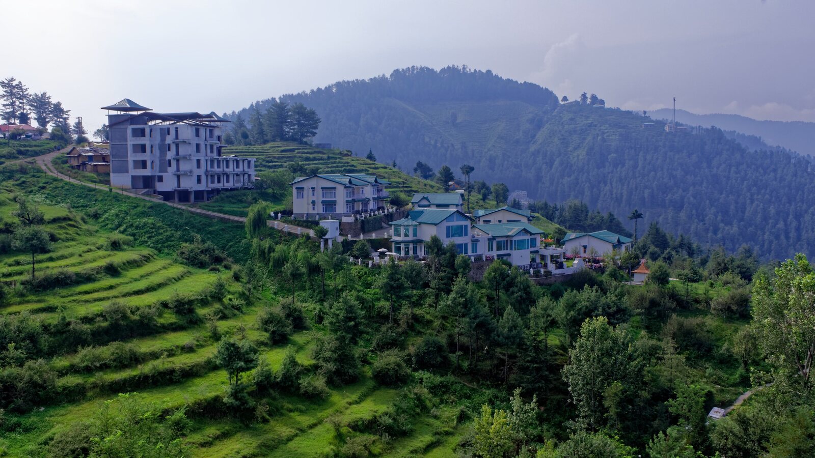Forested hills and valley around Mashobra in Shimla district.
